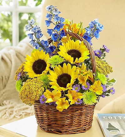 Fields of Europe&amp;trade; for Summer Basket